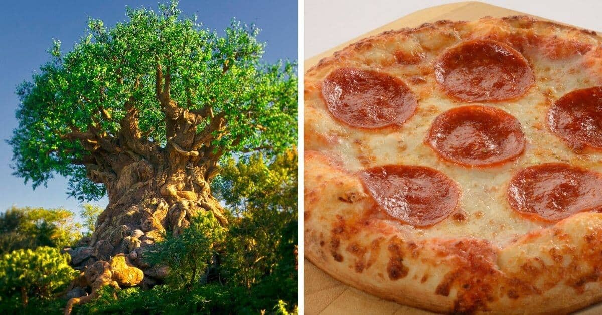 Tree of Life (left), Pizzafari pizza (right)