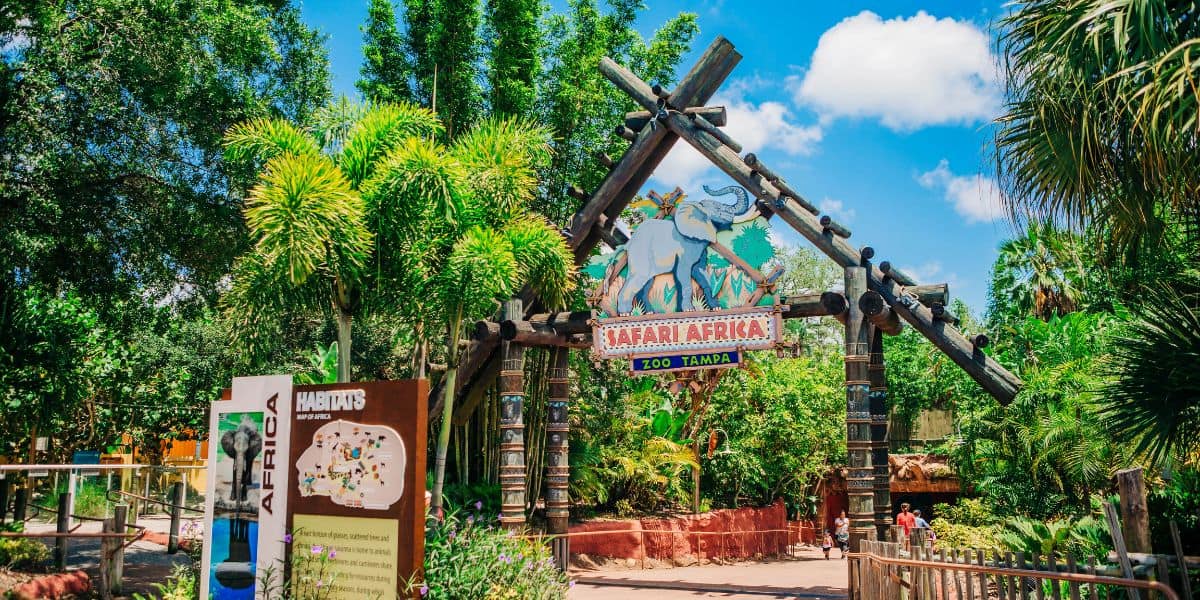 Entrance to Safari Africa at ZooTampa, featuring a wooden arch with an elephant sign. Surrounded by lush greenery, palm trees, and a bright blue sky. A map and information board are visible on the left for this Florida zoo.