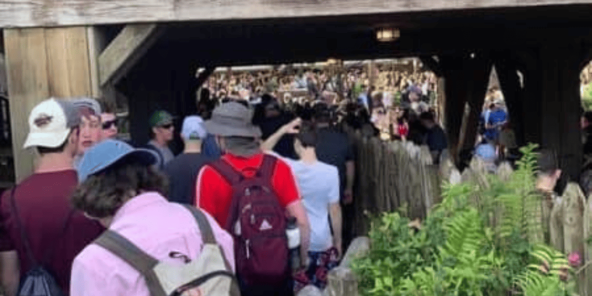 A lengthy Lightning Lane line for Walt Disney World Resort's Splash Mountain.