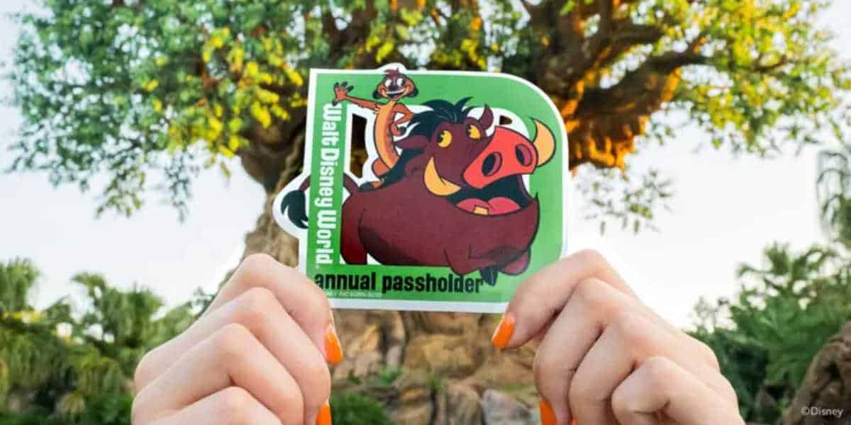 A pair of hands with orange nail polish hold up a Walt Disney World annual passholder sticker featuring Timon and Pumbaa from "The Lion King" in front of the Tree of Life at Disney's Animal Kingdom, showcasing the exclusive benefits available to Disney Annual Passholders.