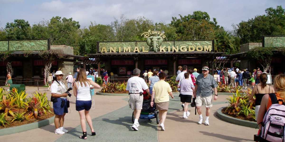 People walking towards the entrance of Disney World Animal Kingdom.