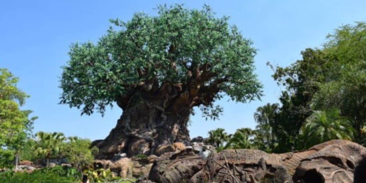 The Tree of Life at Disney's Animal Kingdom Theme Park in front of a clear blue sky.