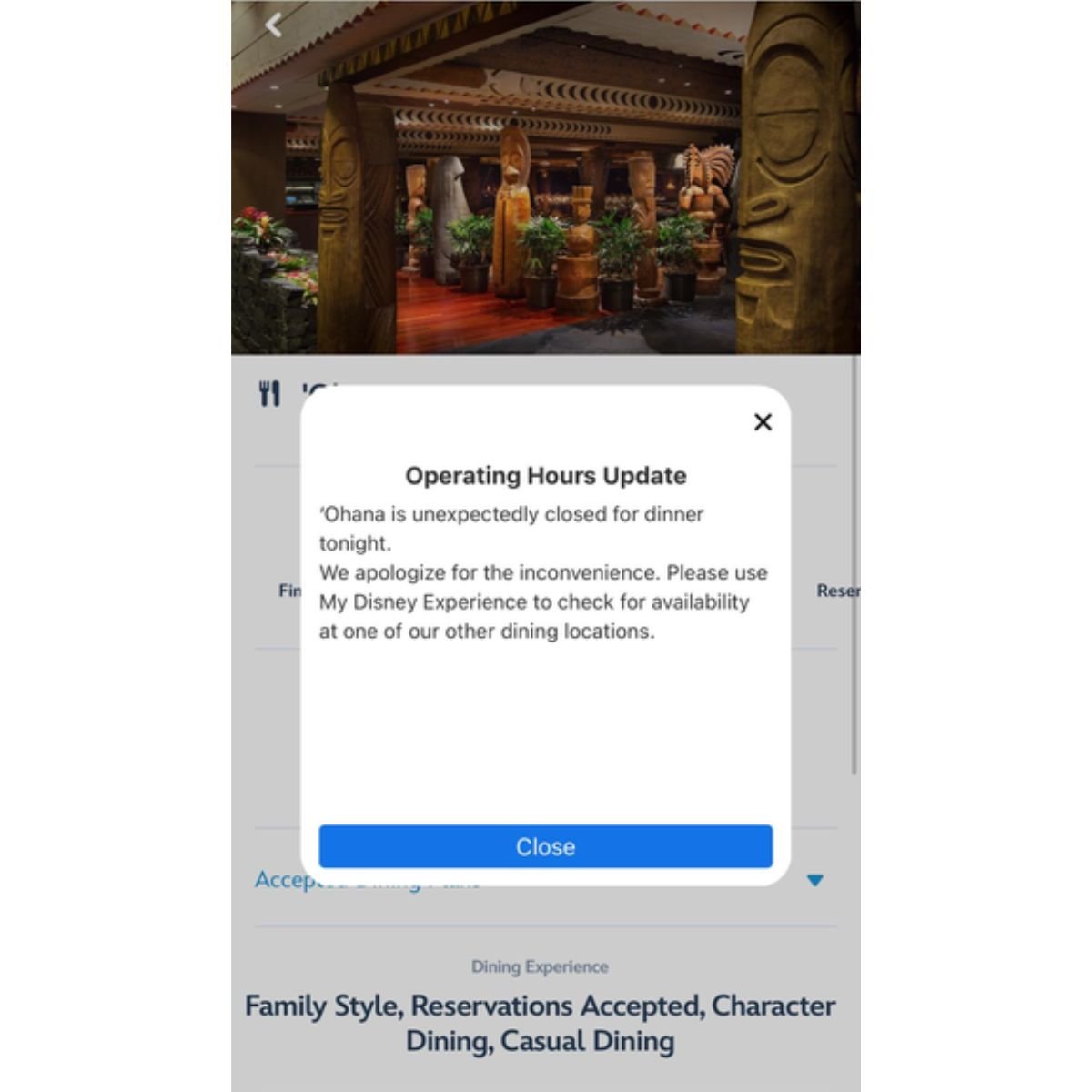 A pop-up message on your phone screen announces: "Operating Hours Update: ‘Ohana is temporarily closed for dinner tonight. We apologize for the inconvenience. Kindly use My Disney Experience to find availability at our other enchanting dining spots."