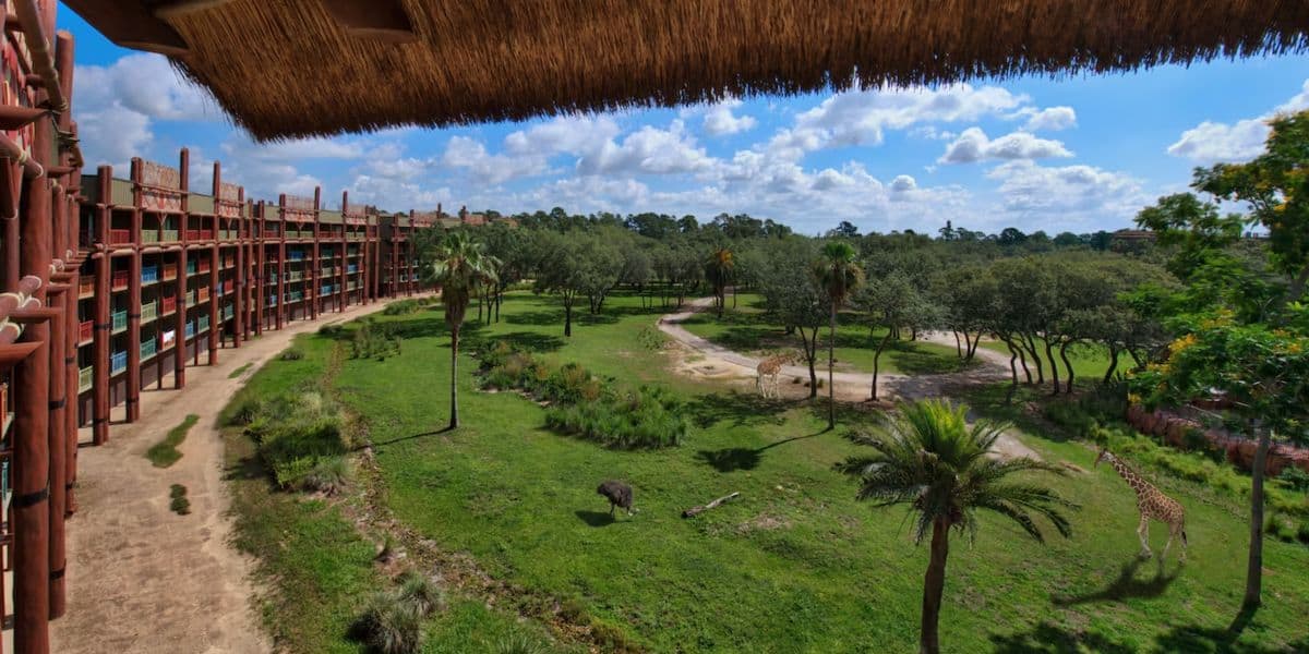 View from Jambo House at Animal Kingdom Lodge
