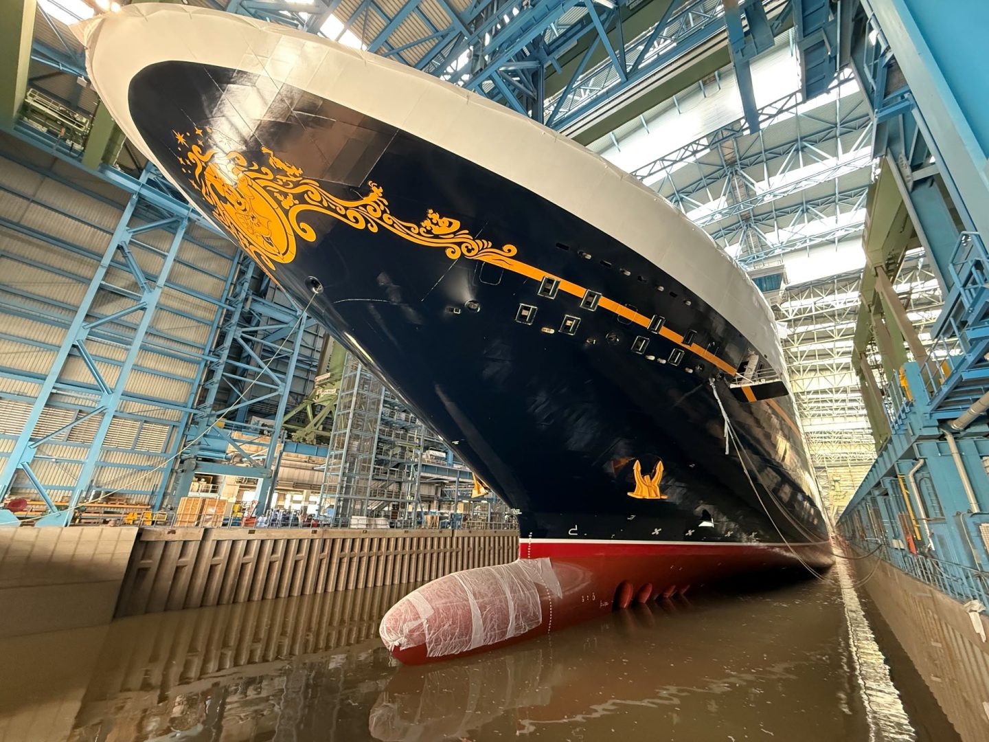 Disney Destiny Ship's Log - Float Up (3)