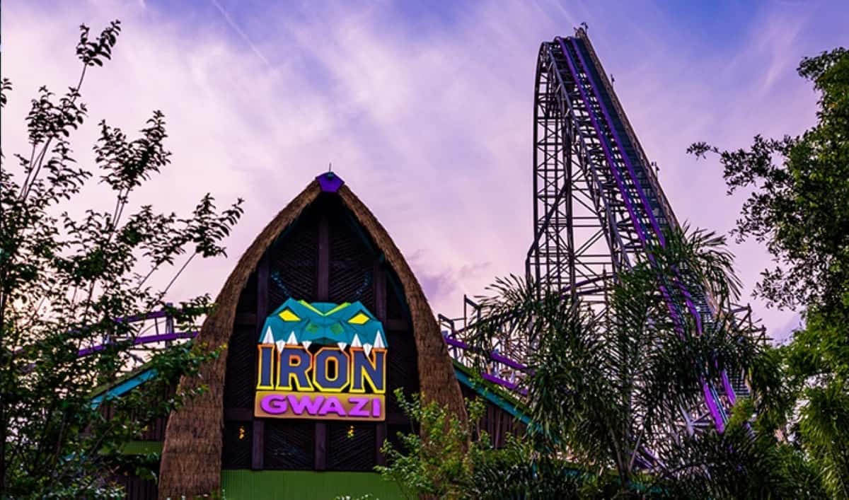 Award-winning roller coaster Iron Gwazi at Busch Gardens Tampa Bay