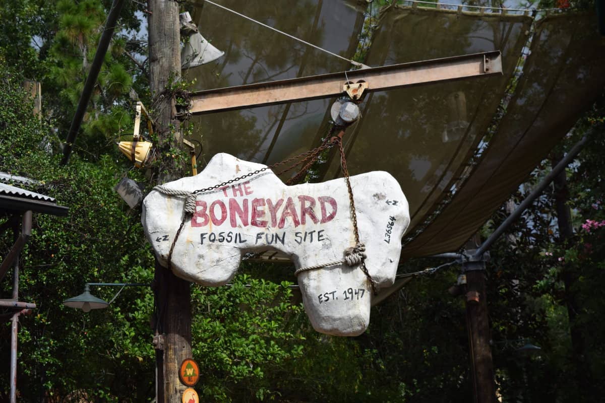 The Boneyard at Disney's Animal Kingdom