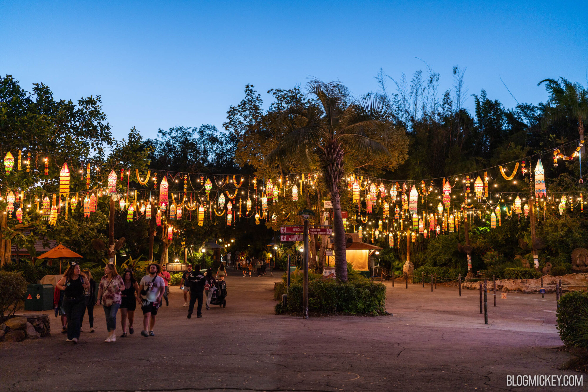 Colorful hanging lanterns illuminating a walkway at dusk in Disney World.