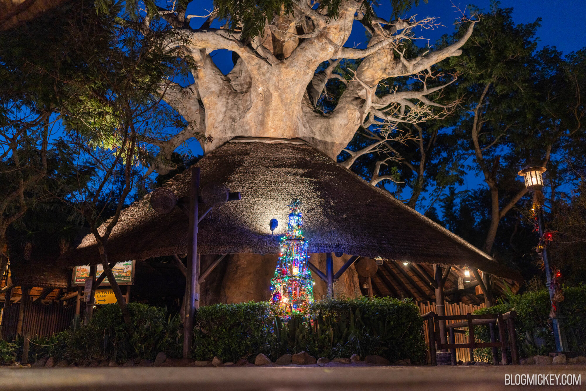 Vibrant Christmas tree illuminated under a large tree at night.